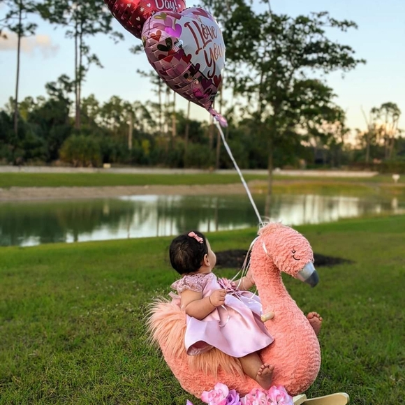 Like New Rare Editions Formal Baby Dress (12mos) - Picture 6 of 6